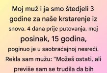 Moj muž i ja smo štedjeli 3.godine za krstarnje…