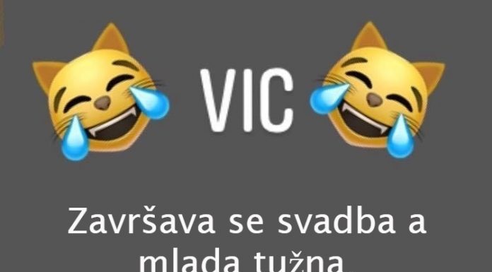 VIC DANA: Svekrva i snaja