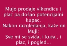 Vic dana: prodaja vikendice
