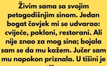 Živim sama sa svojim petogodišnjim sinom. Jedan bogat čovjek mi se udvarao:
