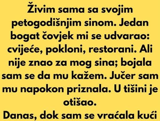 Živim sama sa svojim petogodišnjim sinom. Jedan bogat čovjek mi se udvarao: