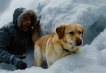 Čovjek i njegov pas …..