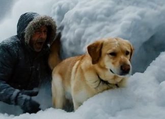 Čovjek i njegov pas …..