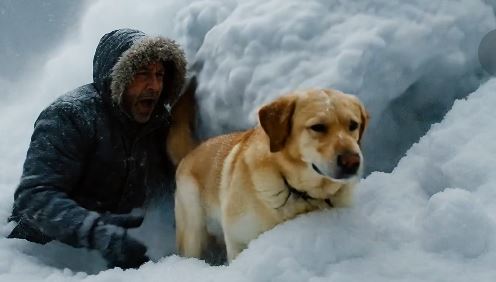 Čovjek i njegov pas …..