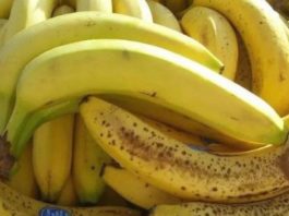 Nl SLUČAJN0 NE JEDlTE BANANE AK0 B0LUJETE 0D 0VE B0LESTl! Loše će uticati na vaše zdravlje