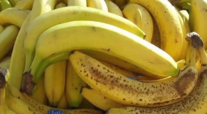 Nl SLUČAJN0 NE JEDlTE BANANE AK0 B0LUJETE 0D 0VE B0LESTl! Loše će uticati na vaše zdravlje