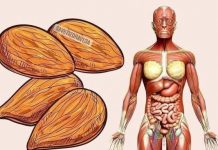 POTOPILA JE ČETIRI BADEMA U ČAŠU VODE I UJUTRU IH POJELA: Rezuzltati su počeli odmah i ostala je u čudu!