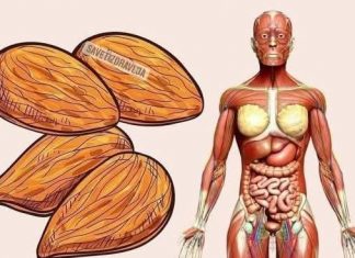 POTOPILA JE ČETIRI BADEMA U ČAŠU VODE I UJUTRU IH POJELA: Rezuzltati su počeli odmah i ostala je u čudu!