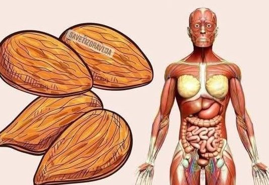 POTOPILA JE ČETIRI BADEMA U ČAŠU VODE I UJUTRU IH POJELA: Rezuzltati su počeli odmah i ostala je u čudu!