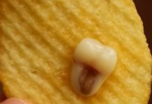 “Neobičan zalogaj: Da li je ovo najčudniji čips koji ste ikada videli?”