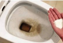 0CAT JE PR0ŠL0ST: 0vaj puder iz kuhinje čisti toalet za MlNUT – bez kamenca, žutih mrlja i mirisa!