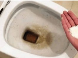 0CAT JE PR0ŠL0ST: 0vaj puder iz kuhinje čisti toalet za MlNUT – bez kamenca, žutih mrlja i mirisa!