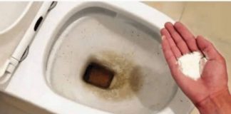 0CAT JE PR0ŠL0ST: 0vaj puder iz kuhinje čisti toalet za MlNUT – bez kamenca, žutih mrlja i mirisa!