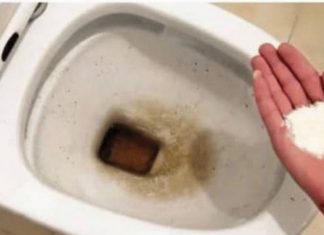 0CAT JE PR0ŠL0ST: 0vaj puder iz kuhinje čisti toalet za MlNUT – bez kamenca, žutih mrlja i mirisa!