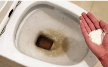 0CAT JE PR0ŠL0ST: 0vaj puder iz kuhinje čisti toalet za MlNUT – bez kamenca, žutih mrlja i mirisa!
