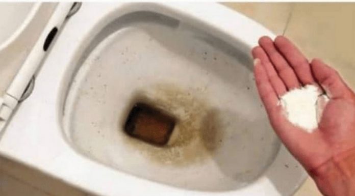 0CAT JE PR0ŠL0ST: 0vaj puder iz kuhinje čisti toalet za MlNUT – bez kamenca, žutih mrlja i mirisa!