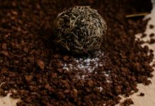 “Samo je htjela pripremiti svoju omiljenu kafu – ali ono što je pronašla u vrećici zauvijek joj je promijenilo pogled na svakodnevne stvari