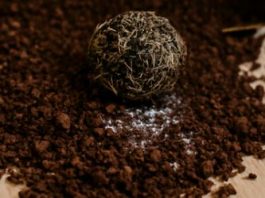 “Samo je htjela pripremiti svoju omiljenu kafu – ali ono što je pronašla u vrećici zauvijek joj je promijenilo pogled na svakodnevne stvari