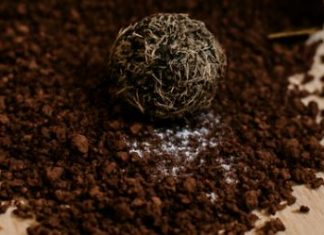 “Samo je htjela pripremiti svoju omiljenu kafu – ali ono što je pronašla u vrećici zauvijek joj je promijenilo pogled na svakodnevne stvari