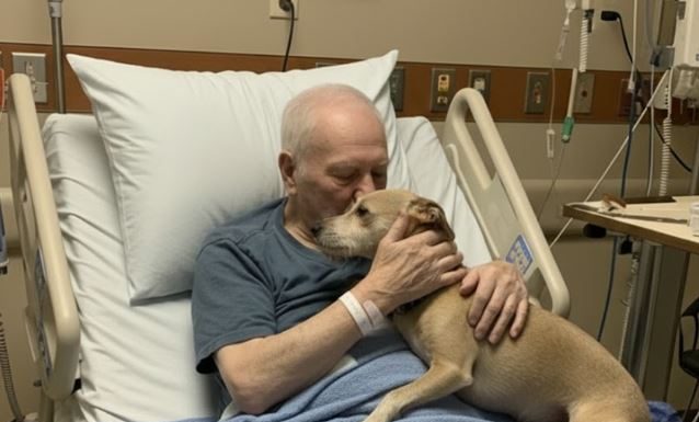 Dozvolili su njegovom psu da se oprosti — nekoliko sati kasnije, medicinska sestra je otvorila vrata… i ispustila sve dokumente.