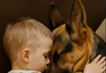 “Nevidljiva veza: Priča o ljubavi, odanosti i životnoj lekciji”