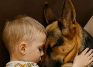 “Nevidljiva veza: Priča o ljubavi, odanosti i životnoj lekciji”