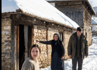 Svekrvin greh: Izbacila trudnu snahu na sneg zbog lažne optužbe