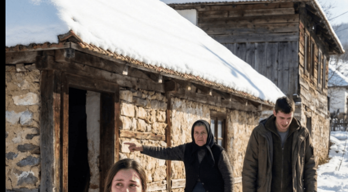 Svekrvin greh: Izbacila trudnu snahu na sneg zbog lažne optužbe