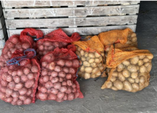 Deda ga je uvijek bacao u kesu sa krompirom i izdržali su do sledeće berbe: Ni jedan nije proklijao!