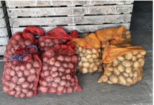 Deda ga je uvijek bacao u kesu sa krompirom i izdržali su do sledeće berbe: Ni jedan nije proklijao!