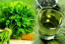 ČAJ OD PERŠUNA JE NAJBOLJI ZA MRŠAVLJENJE: Ali samo ako ga pijete OVAKO!