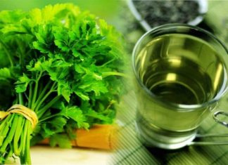 ČAJ OD PERŠUNA JE NAJBOLJI ZA MRŠAVLJENJE: Ali samo ako ga pijete OVAKO!