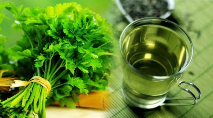 ČAJ OD PERŠUNA JE NAJBOLJI ZA MRŠAVLJENJE: Ali samo ako ga pijete OVAKO!