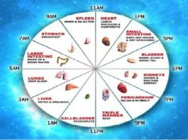 Kineski biološki sat ne griješi: Ovako otkrijte sami koji organ vam ne radi dobro!