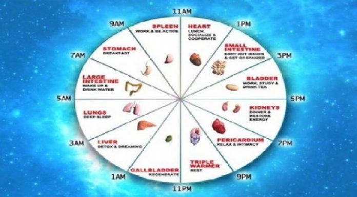 Kineski biološki sat ne griješi: Ovako otkrijte sami koji organ vam ne radi dobro!