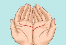 Ove linije na dlanu imaju samo posebni ljudi, nema ih mnogo, iznenadićete se kada čujete šta znače