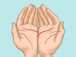 Ove linije na dlanu imaju samo posebni ljudi, nema ih mnogo, iznenadićete se kada čujete šta znače