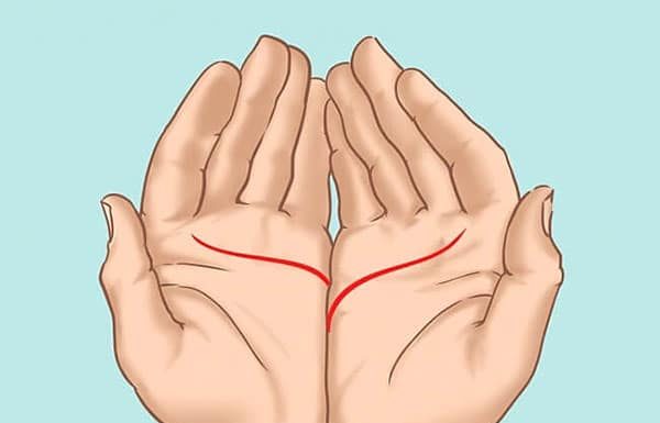 Ove linije na dlanu imaju samo posebni ljudi, nema ih mnogo, iznenadićete se kada čujete šta znače