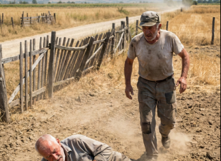 Komšije nisu progovorile reč 30 godina zbog pola metra zemlje: Kada je Ristan pao u njivi, onaj “najgori neprijatelj” je uradio nešto što je postidelo celo selo