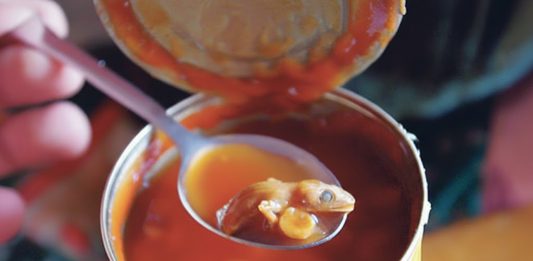 “Šok u svakodnevnom obroku: Muškarac pronalazi zastrašujući predmet u konzervi graha”