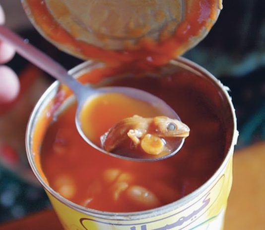 “Šok u svakodnevnom obroku: Muškarac pronalazi zastrašujući predmet u konzervi graha”