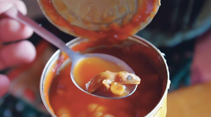 “Šok u svakodnevnom obroku: Muškarac pronalazi zastrašujući predmet u konzervi graha”