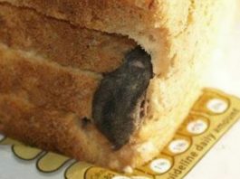 “Tajna u Hlebu: Šok koji je Zgrozio Porodični Doručak”