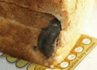 “Tajna u Hlebu: Šok koji je Zgrozio Porodični Doručak”