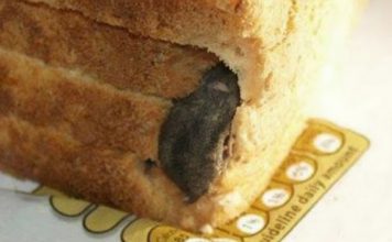 “Tajna u Hlebu: Šok koji je Zgrozio Porodični Doručak”