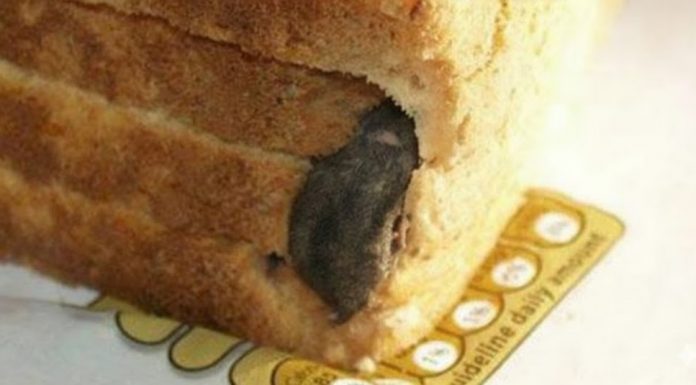 “Tajna u Hlebu: Šok koji je Zgrozio Porodični Doručak”