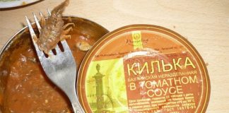 Konzerva junetine u paradajz sosu? Da, svakako!