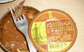 Konzerva junetine u paradajz sosu? Da, svakako!