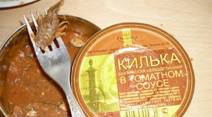 Konzerva junetine u paradajz sosu? Da, svakako!