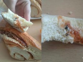 Jedan zalogaj koji je sve promijenio: Pauza za ručak koju neće zaboraviti